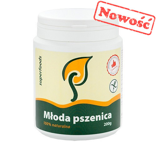 Młoda pszenica